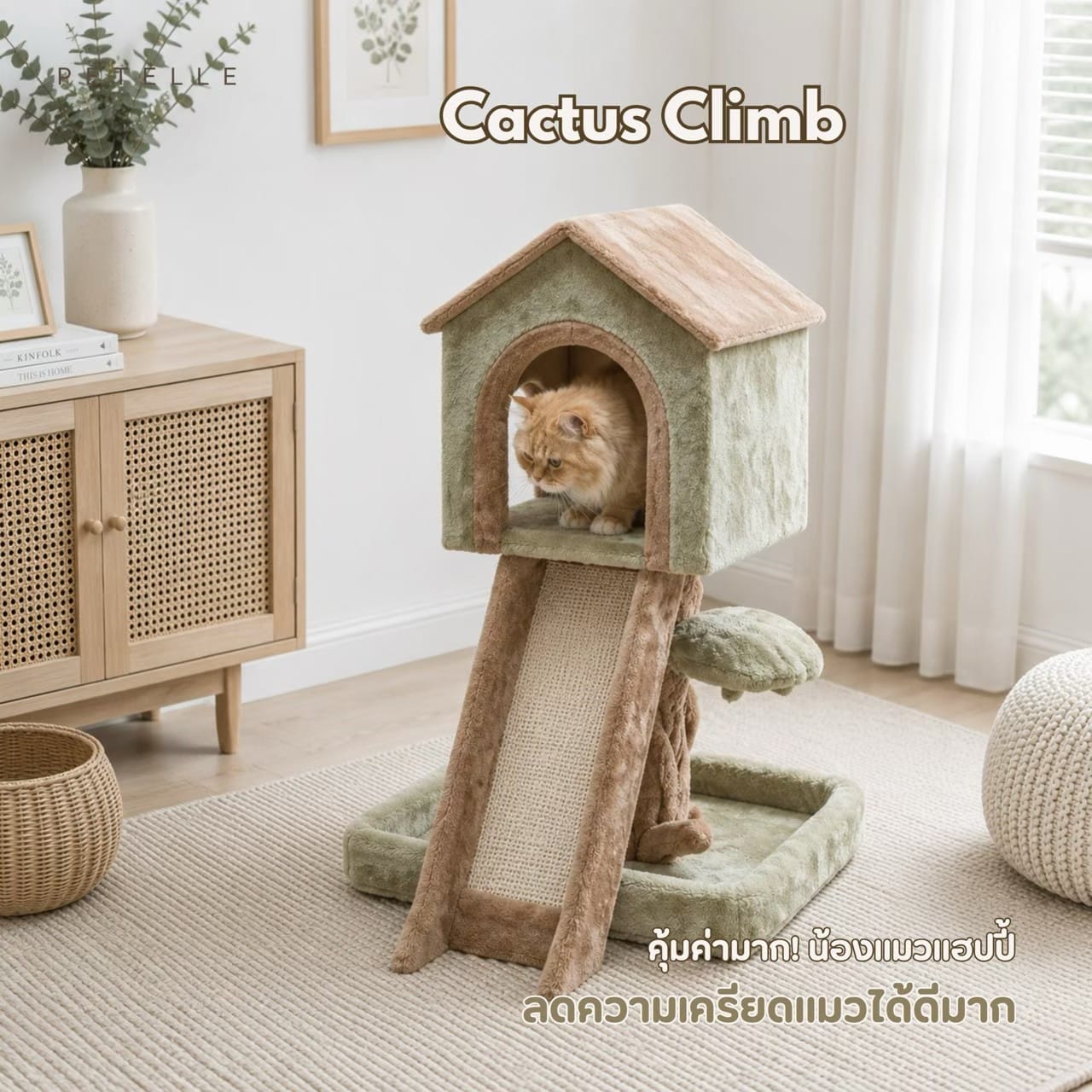 คอนโดแมวต้นไม้ PETELLE รุ่น LITTLE TREEHOUSE_2